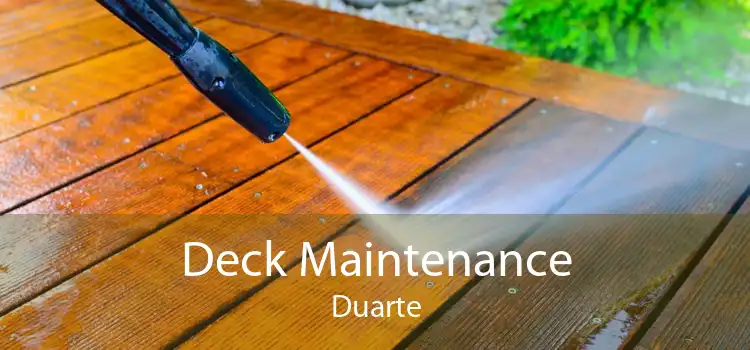 Deck Maintenance Duarte